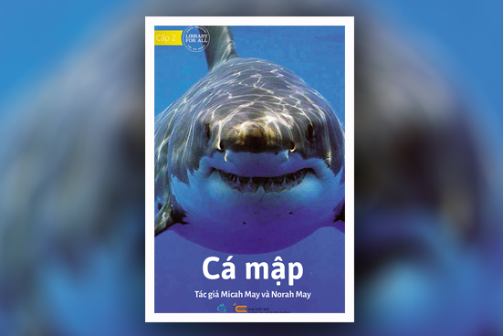 Cá mập