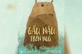 Gấu Nâu trốn ngủ