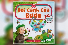 Đôi cánh của bướm