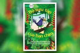 Bộ sưu tập của bạn chim
