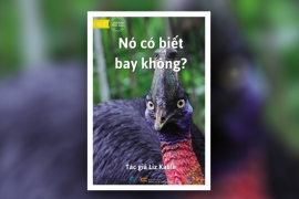 Nó có biết bay không?