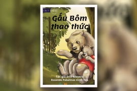 Gấu Bôm thao thức