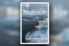 Biến đổi khí hậu