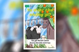 Ta được cho những gì?