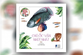 Chú ốc vặn nhút nhát