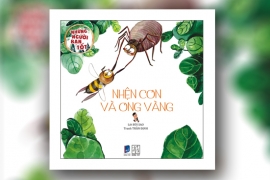 Nhện con và ong vàng