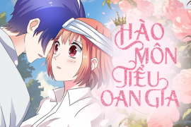 Hào môn tiểu oan gia