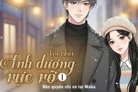 Tôi như ánh dương rực rỡ