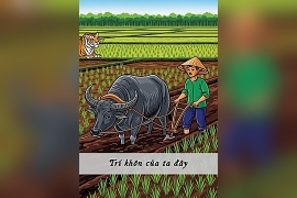 Trí khôn của ta đây
