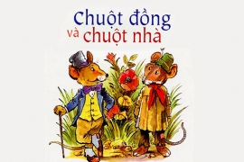Chuột đồng và chuột nhà