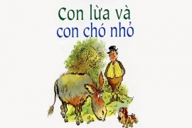 Con lừa và con chó nhỏ
