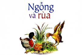 Ngỗng và rùa